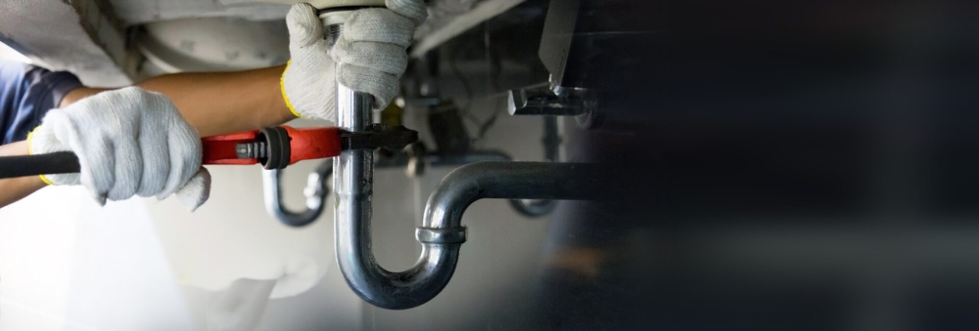 What to Do When You Need Emergency Plumbers